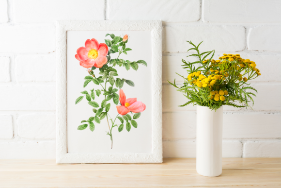 Vintage Rose Clipart: A Timeless Design Asset