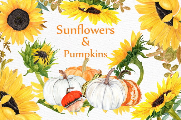 Watercolor Sunflower & Pumpkin Clipart for Harvest Designs